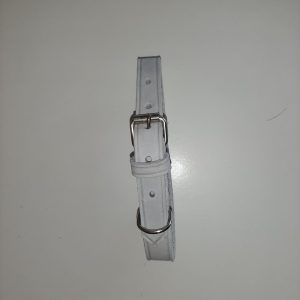 COLLAR PERRO CON ANILLA