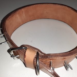 COLLAR PERRO CON PICHOS